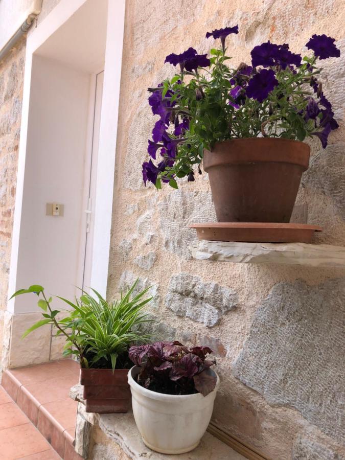 Silvio Apartment Funtana